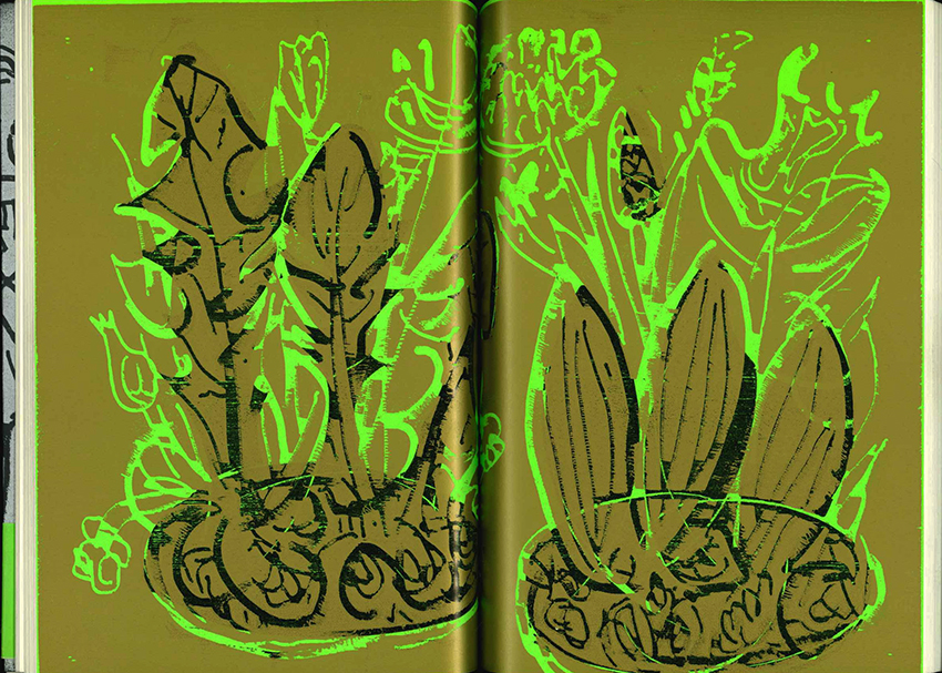 Engel der Geschichte zDürer