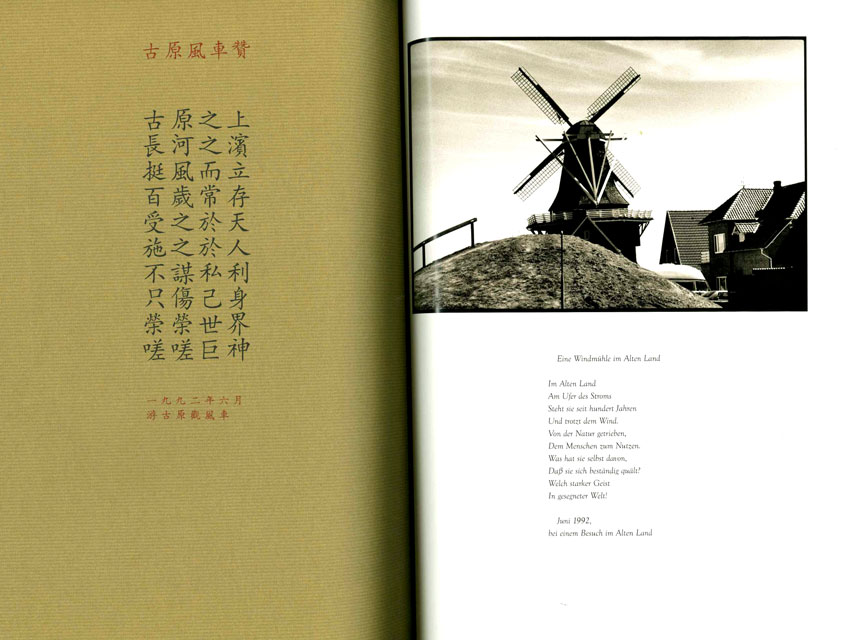 Taizhi, Der chinesische Konsul