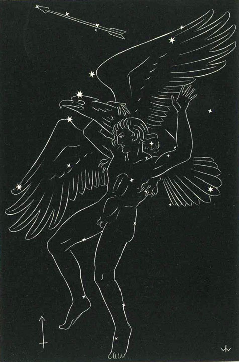 Weisz, Der gestirnte Himmel