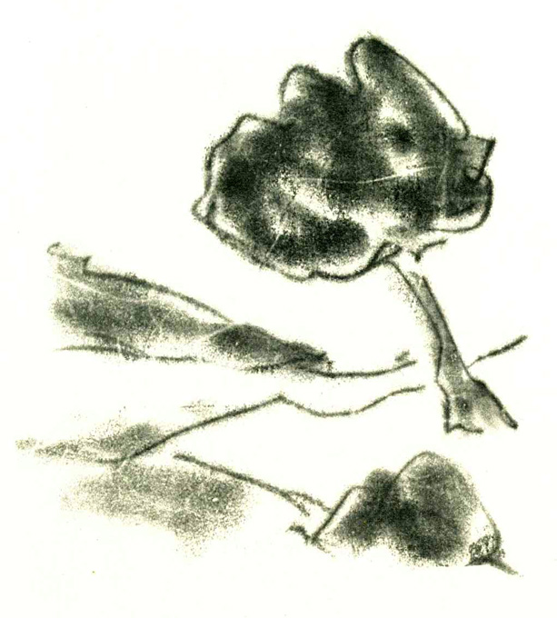 Fitzbauer, Über die schwankenden Brücken