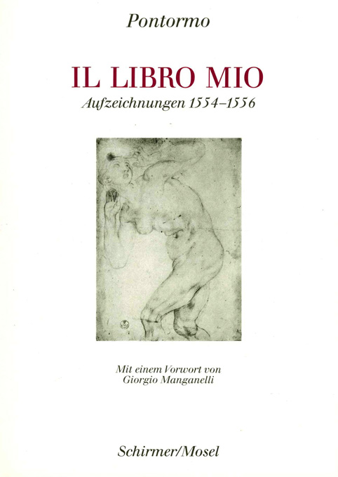 Pontormo, Il libro mio