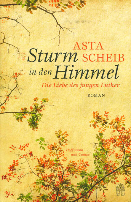 Scheib, Sturm in den Himmel