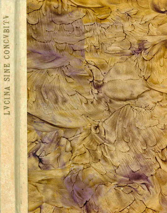 Lucina sine concubitu, Ein Brief an die Königliche Societät