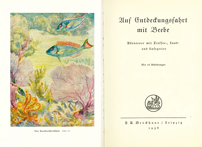 Beebe, Auf Entdeckungsfahrt