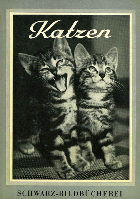Petersen, Katzen