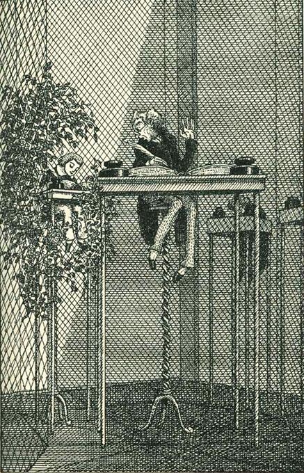 Sallet, Contraste und Paradoxen