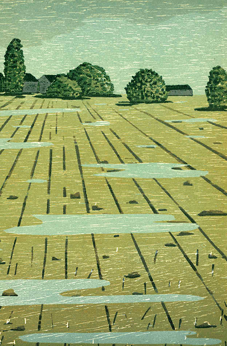 Müller, Her., Niederungen VA