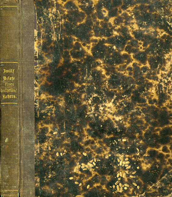 Hillebrand, Zwölf Briefe eines ästhetischen Ketzers