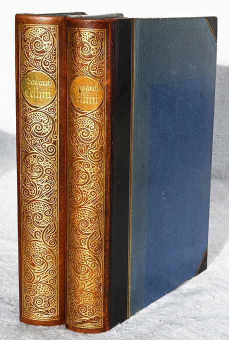 Cellini, Das Leben des Benvenuto Cellini (Georg Müller) Halbleder