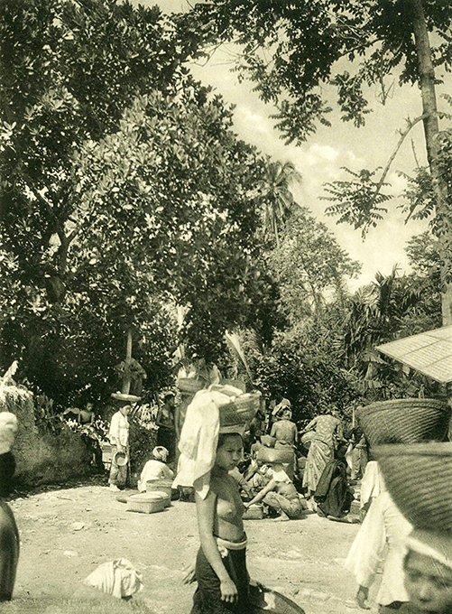 Wadia, The Belle of Bali