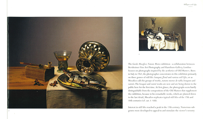 Guido Mocafico. Nature morte