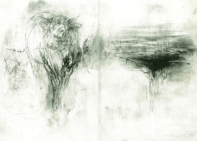 Murray, Heilige Kühe