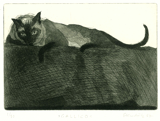 Flurschütz, Gallico von der Lerchenhöhe