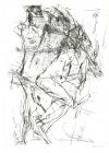Mann, Th., Tod in Venedig 1993 VA