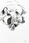 Baskin, Ars Anatomica