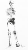 Baskin, Ars Anatomica