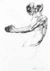 Baskin, Ars Anatomica
