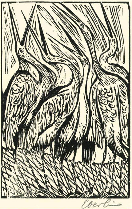 Illustration 63 1973